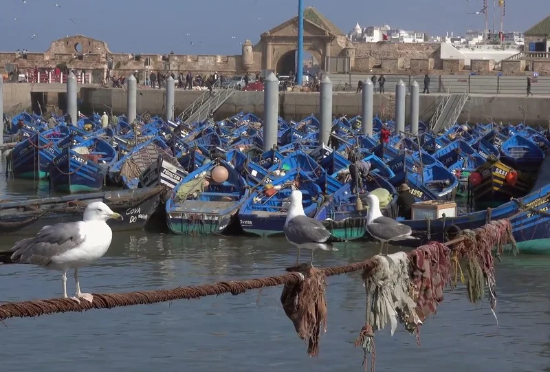 узбережжя Жовтого моря