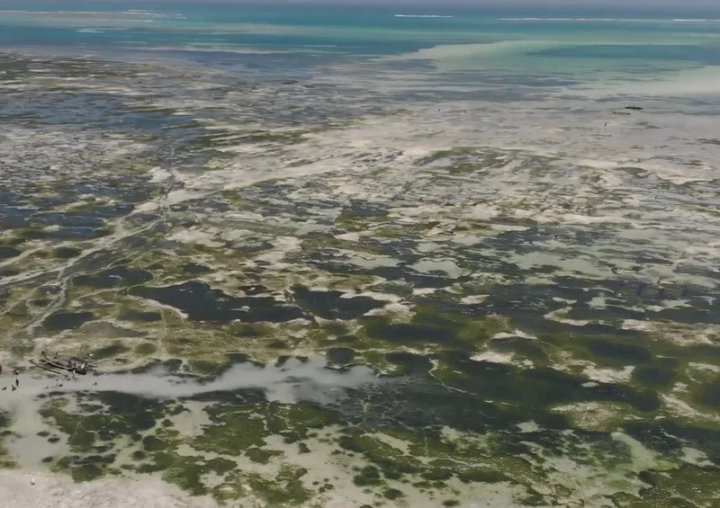 Жовте море фото